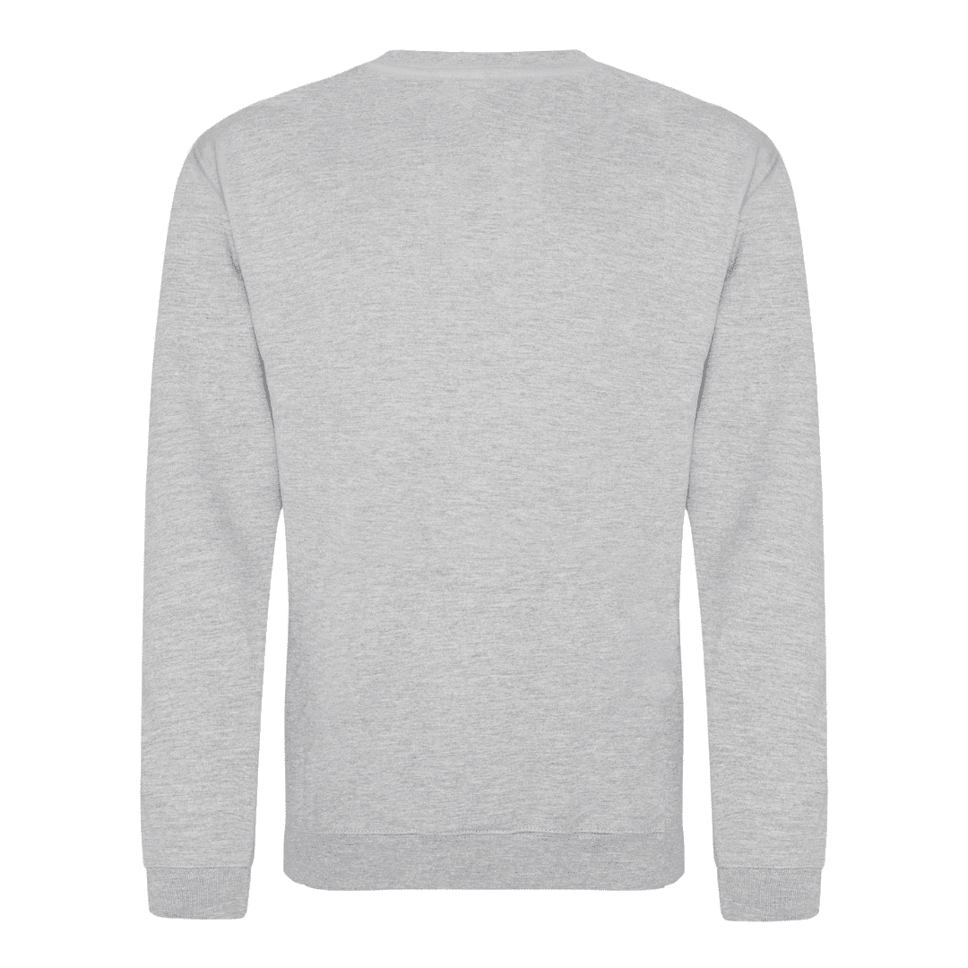Grey Sweat Shirt Back