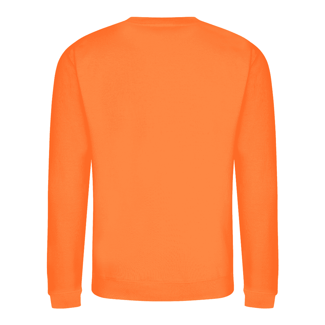 Orange Sweat Shirt Back