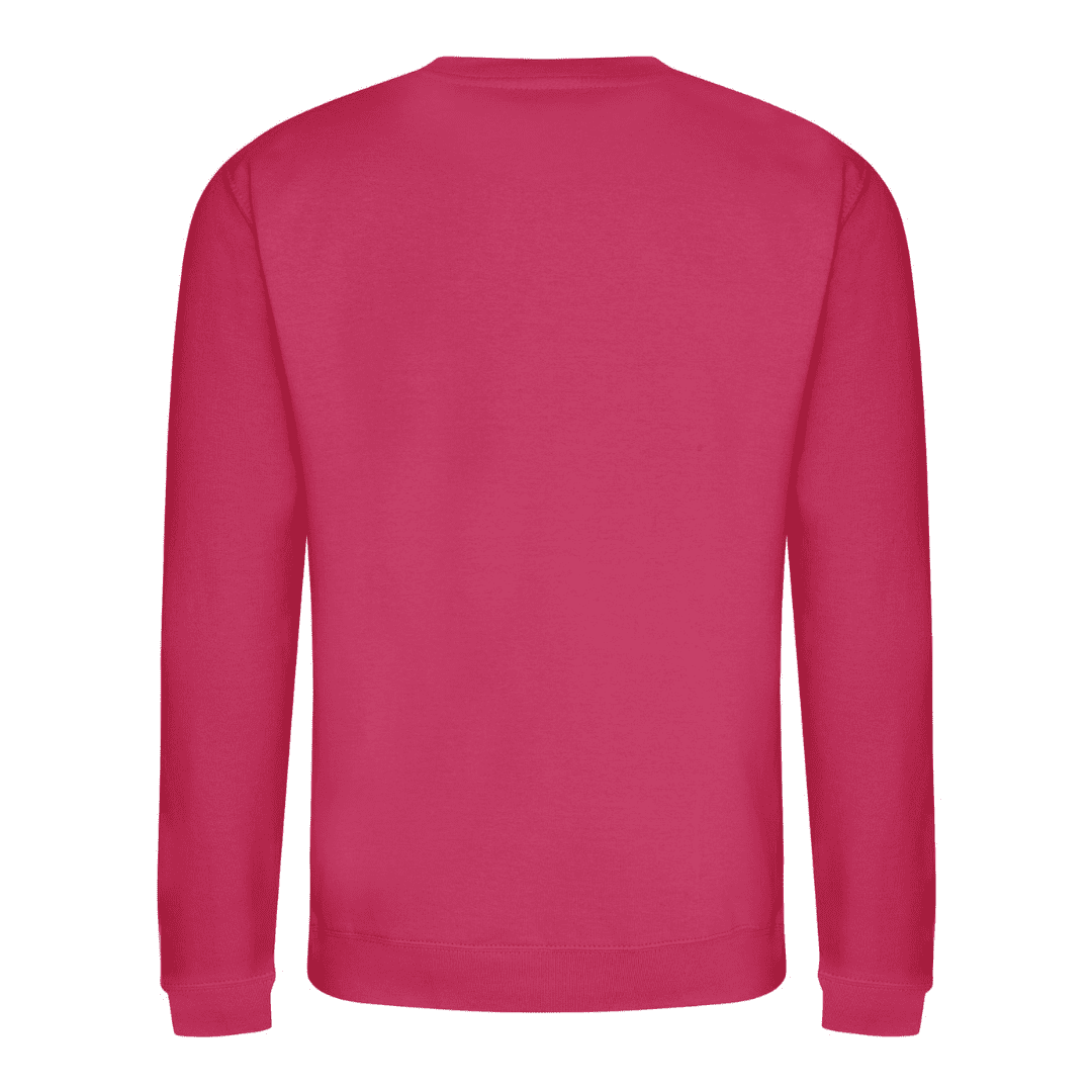 Pink Sweat Shirt Back