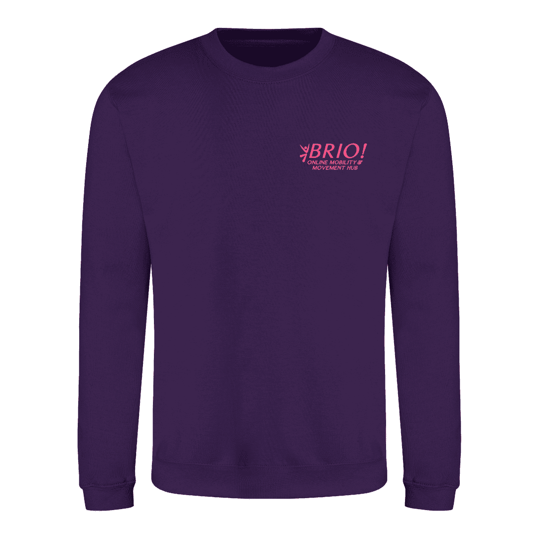 Brio Sweater Pink logo (2)